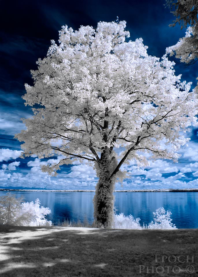 How to Process Infrared Photographs