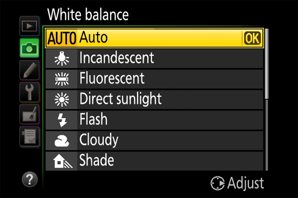 Camera White Balance Chart
