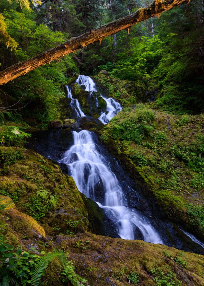Olympic National Park Waterfall