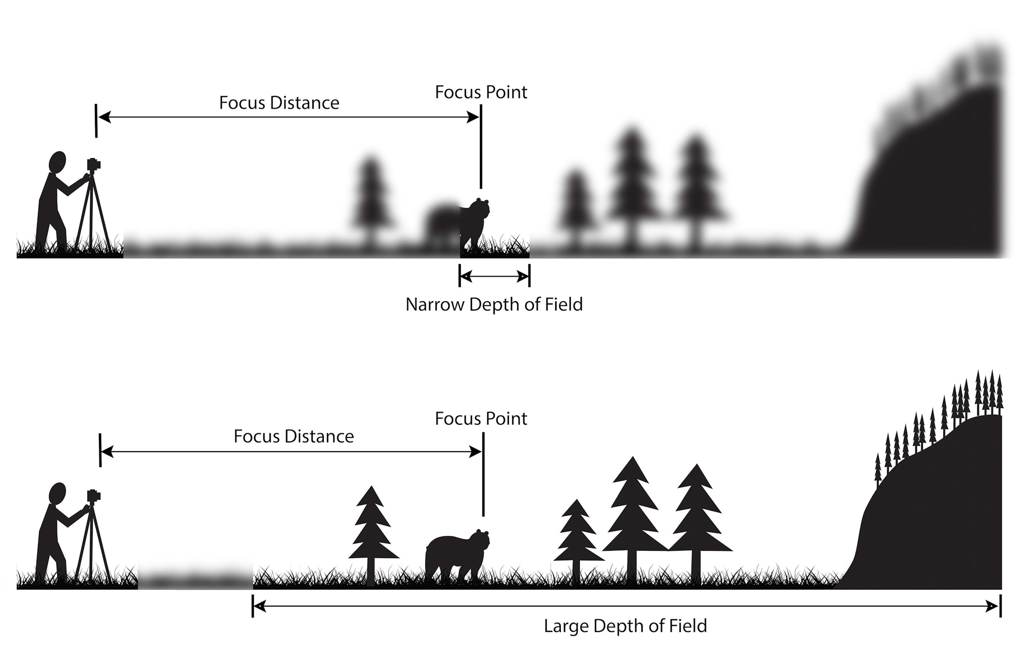 Image result for depth of field