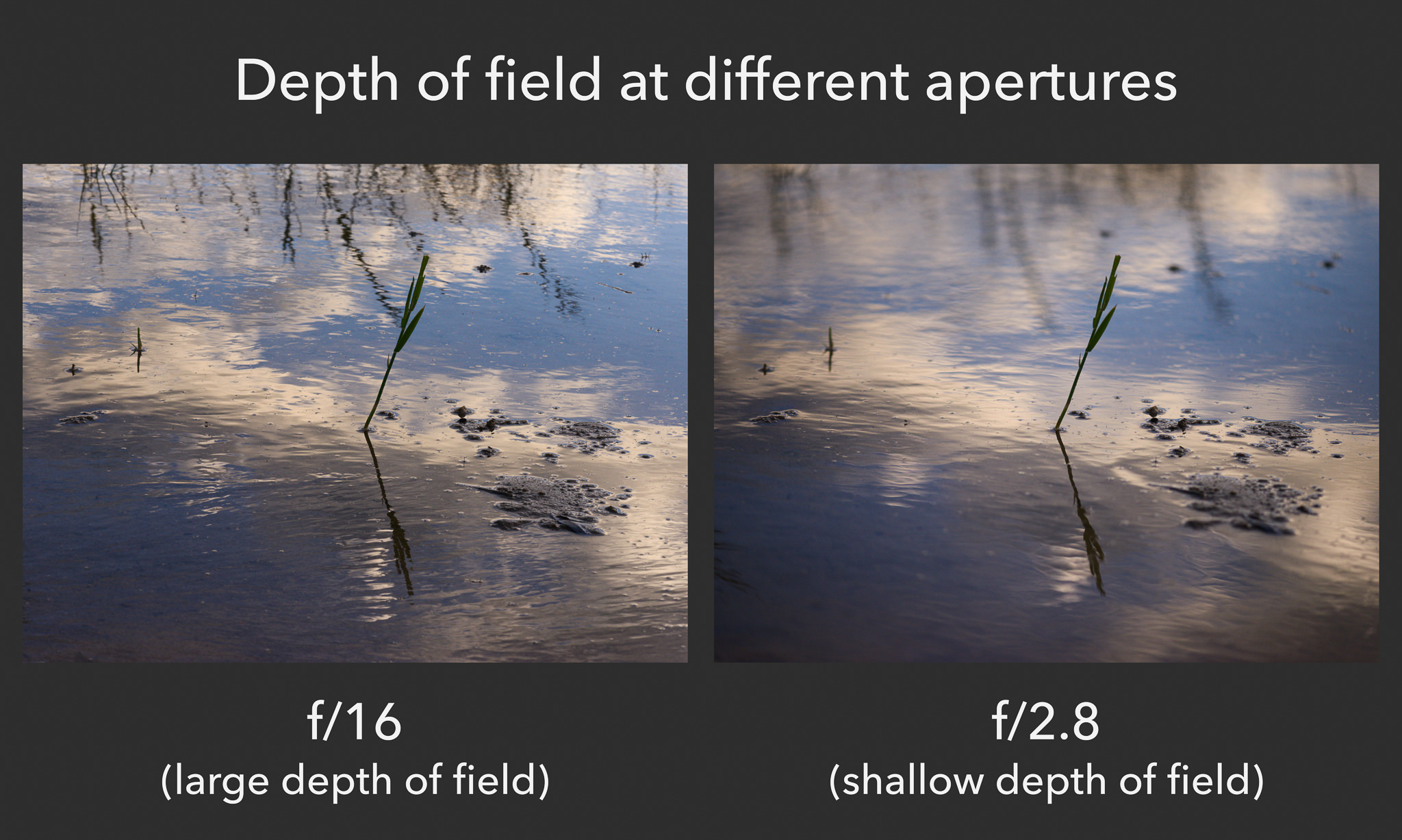 what is aperture/depth of field in photography