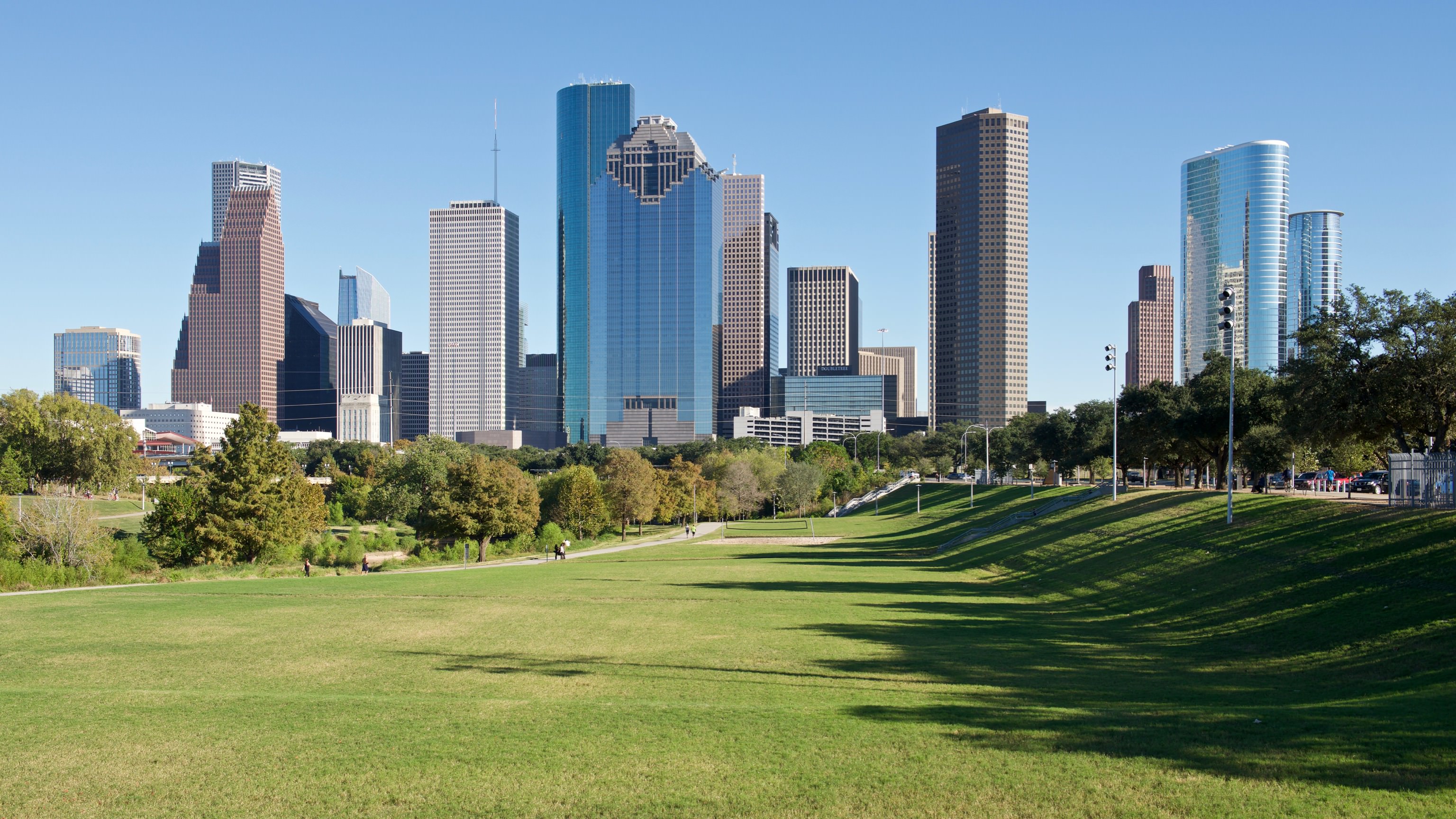 Esther T. New: Discovering the Houston Skyline