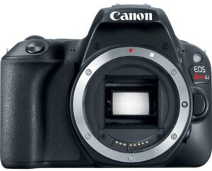 Canon SL2 Review