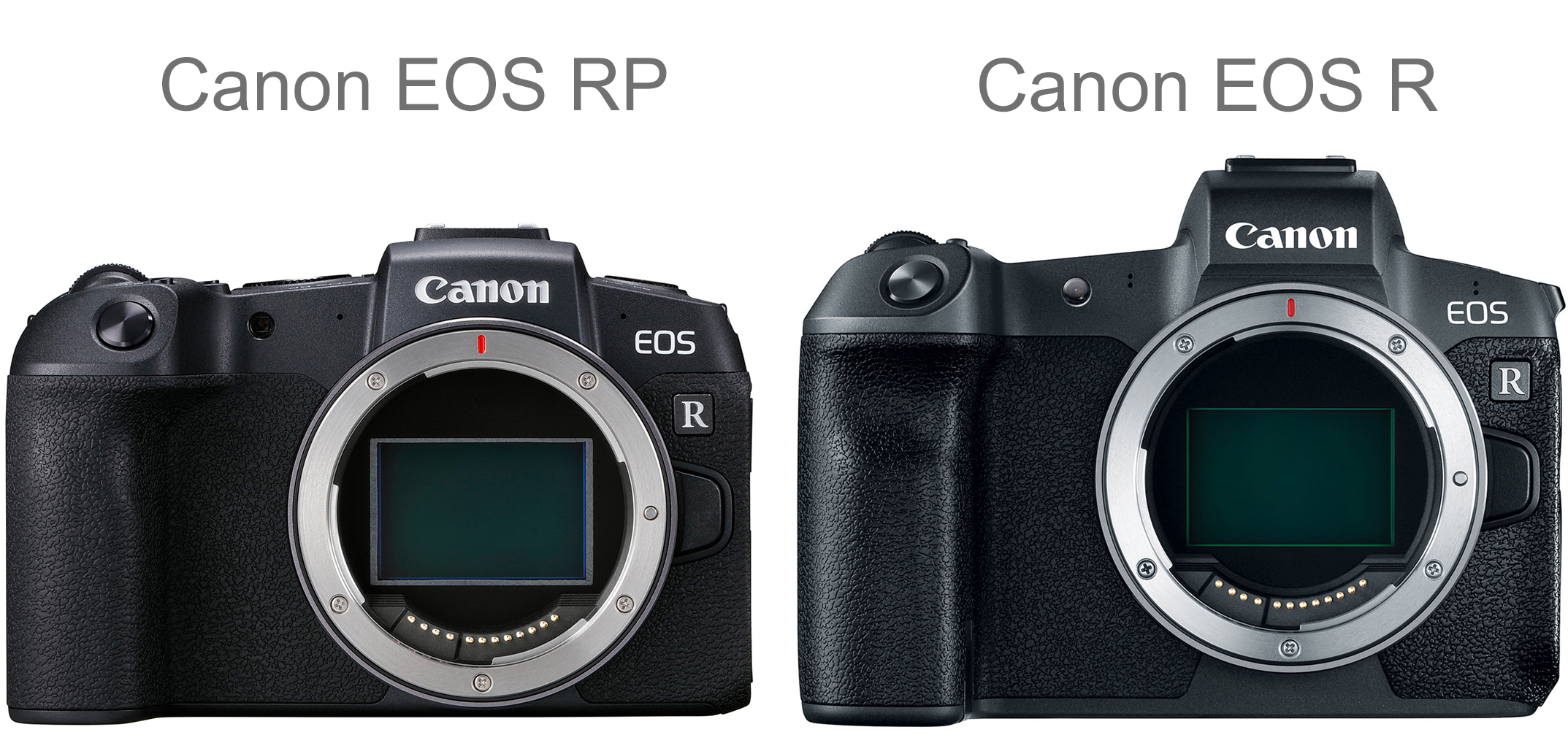 Canon Rebel Camera Comparison Chart